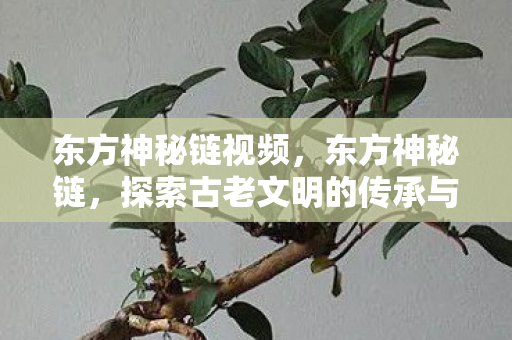 东方神秘链视频，东方神秘链，探索古老文明的传承与影响
