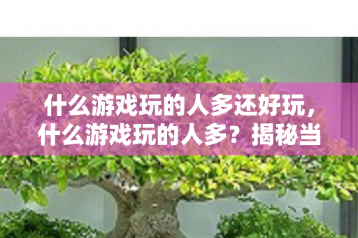 什么游戏玩的人多还好玩，什么游戏玩的人多？揭秘当下最热门的游戏类型与趋势