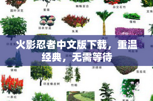 火影忍者中文版下载，重温经典，无需等待