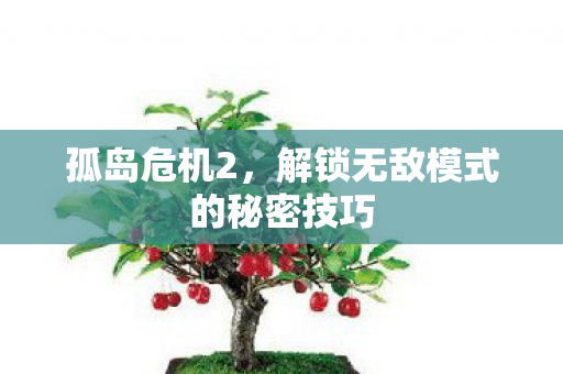 孤岛危机2，解锁无敌模式的秘密技巧