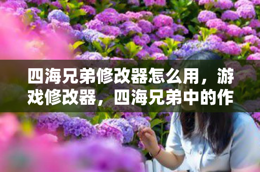 四海兄弟修改器怎么用，游戏修改器，四海兄弟中的作弊与平衡