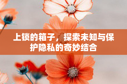 上锁的箱子，探索未知与保护隐私的奇妙结合