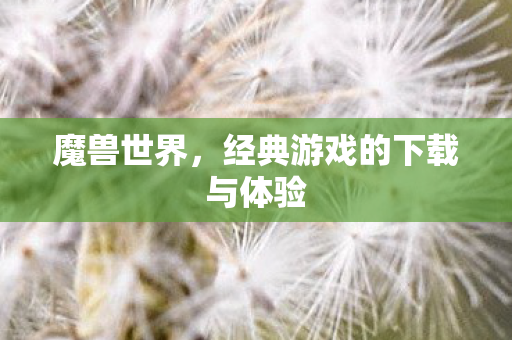 魔兽世界，经典游戏的下载与体验