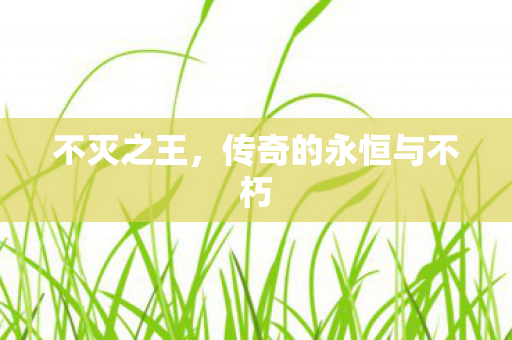 不灭之王，传奇的永恒与不朽