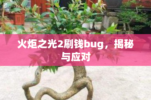 火炬之光2刷钱bug，揭秘与应对