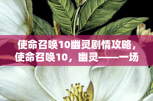 使命召唤10幽灵剧情攻略，使命召唤10，幽灵——一场震撼的战争史诗