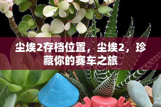 尘埃2存档位置，尘埃2，珍藏你的赛车之旅