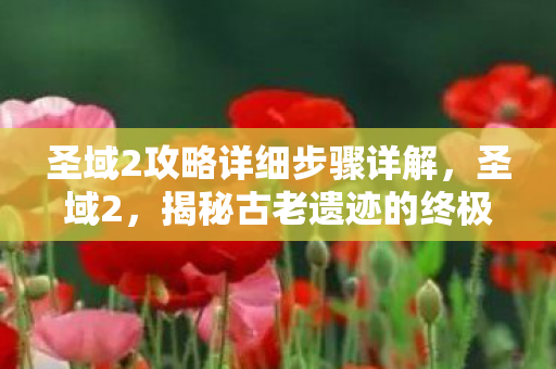 圣域2攻略详细步骤详解，圣域2，揭秘古老遗迹的终极攻略