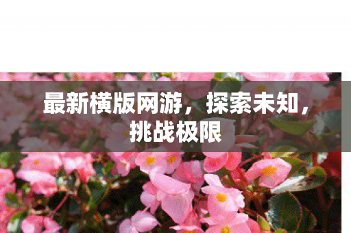 最新横版网游，探索未知，挑战极限