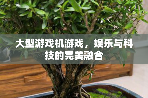 大型游戏机游戏，娱乐与科技的完美融合