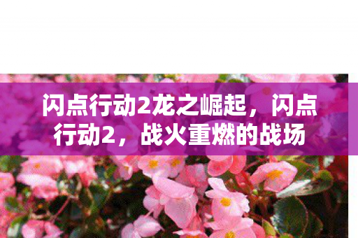 闪点行动2龙之崛起，闪点行动2，战火重燃的战场