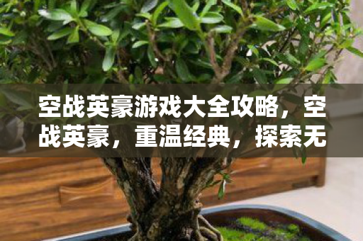 空战英豪游戏大全攻略，空战英豪，重温经典，探索无限可能
