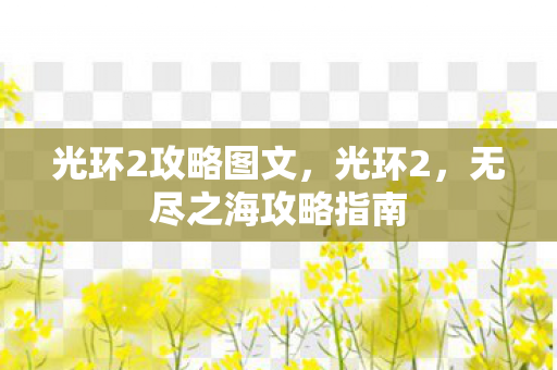 光环2攻略图文，光环2，无尽之海攻略指南
