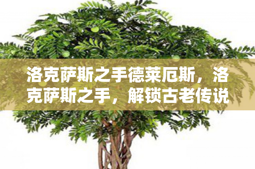 洛克萨斯之手德莱厄斯，洛克萨斯之手，解锁古老传说的神秘钥匙