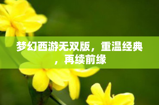 梦幻西游无双版，重温经典，再续前缘