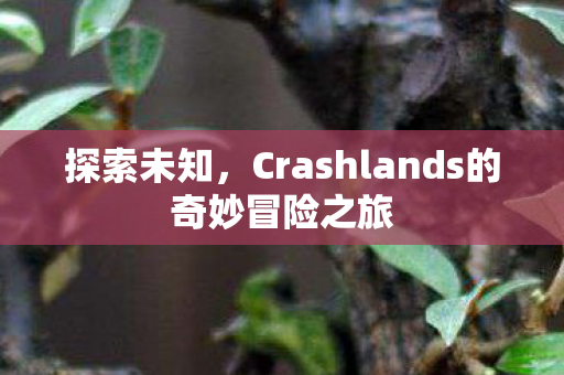 探索未知，Crashlands的奇妙冒险之旅