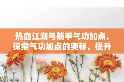 热血江湖弓箭手气功加点，探索气功加点的奥秘，提升角色战斗力的关键策略