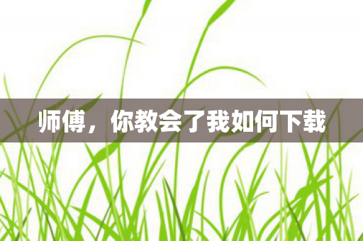 师傅，你教会了我如何下载