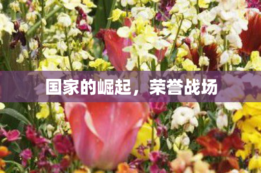 国家的崛起，荣誉战场