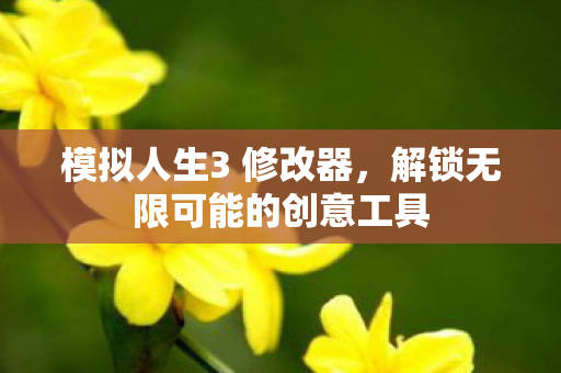 模拟人生3 修改器，解锁无限可能的创意工具