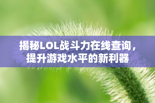 揭秘LOL战斗力在线查询，提升游戏水平的新利器