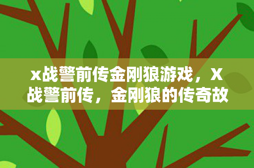 x战警前传金刚狼游戏，X战警前传，金刚狼的传奇故事与英雄成长