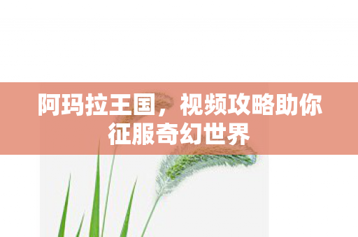 阿玛拉王国，视频攻略助你征服奇幻世界