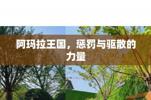 阿玛拉王国，惩罚与驱散的力量