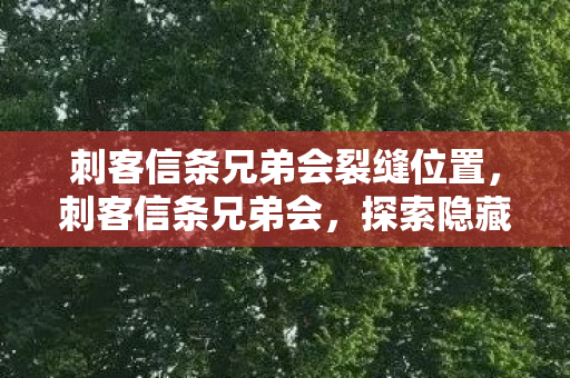 刺客信条兄弟会裂缝位置，刺客信条兄弟会，探索隐藏在游戏中的神秘裂缝