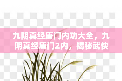 揭秘武侠世界的神秘门派图片