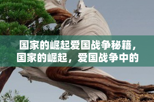 国家的崛起爱国战争秘籍，国家的崛起，爱国战争中的坚韧与荣耀