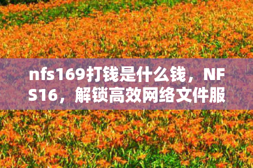 nfs169打钱是什么钱，NFS16，解锁高效网络文件服务的秘密