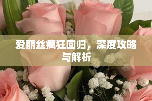 爱丽丝疯狂回归，深度攻略与解析