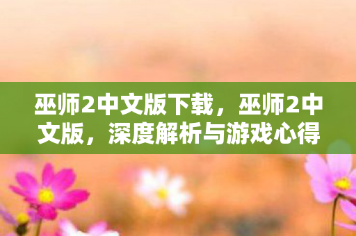 巫师2中文版下载，巫师2中文版，深度解析与游戏心得