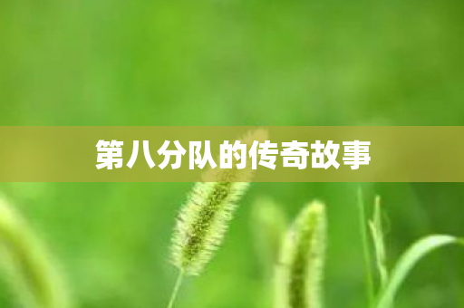 第八分队的传奇故事