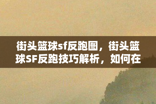 街头篮球SF反跑技巧解析图片