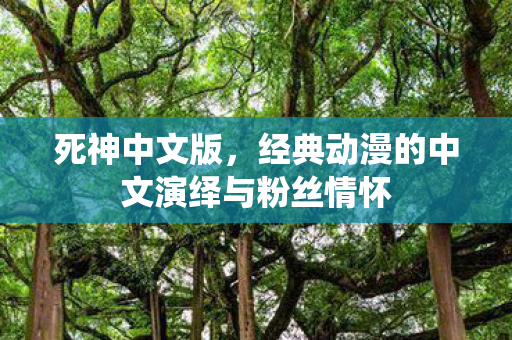 经典动漫的中文演绎与粉丝情怀图片