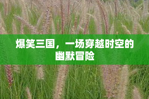 一场穿越时空的幽默冒险图片
