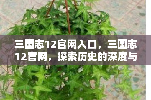 探索历史的深度与广度图片