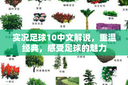 实况足球10中文解说图片