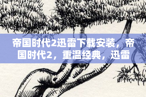 帝国时代2迅雷下载安装图片