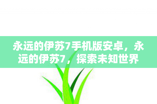 永远的伊苏7手机版安卓图片