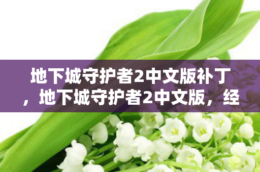 地下城守护者2中文版补丁，地下城守护者2中文版，经典再现，策略与冒险的完美结合