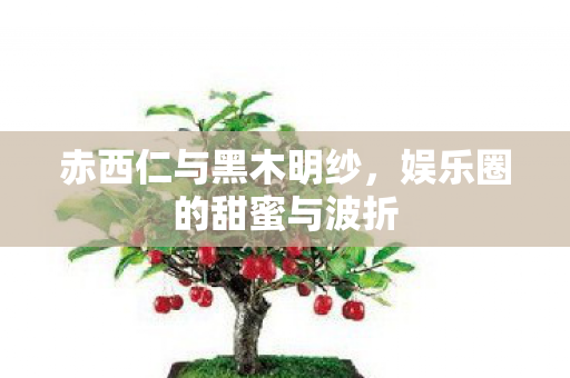 赤西仁与黑木明纱，娱乐圈的甜蜜与波折