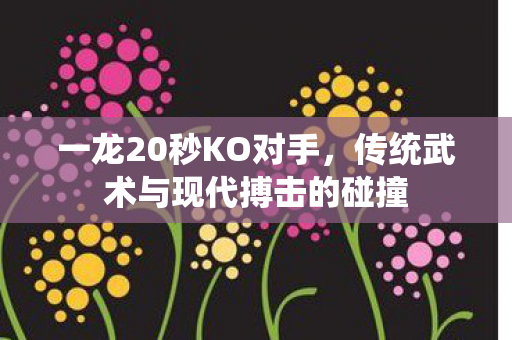 一龙20秒KO对手，传统武术与现代搏击的碰撞