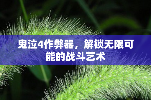 解锁无限可能的战斗艺术图片