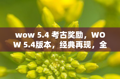 全新挑战等你来战图片