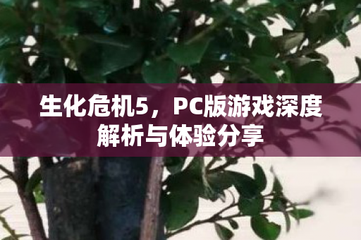 PC版游戏深度解析与体验分享图片