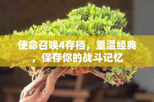保存你的战斗记忆图片
