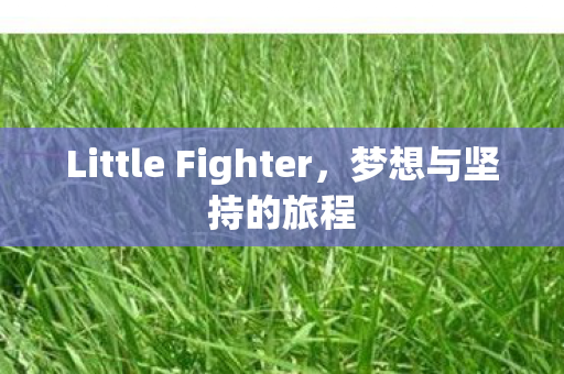 Little Fighter图片